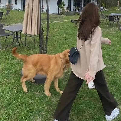 谜谕 第二季